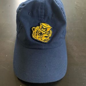Michigan wolverines Nike hat